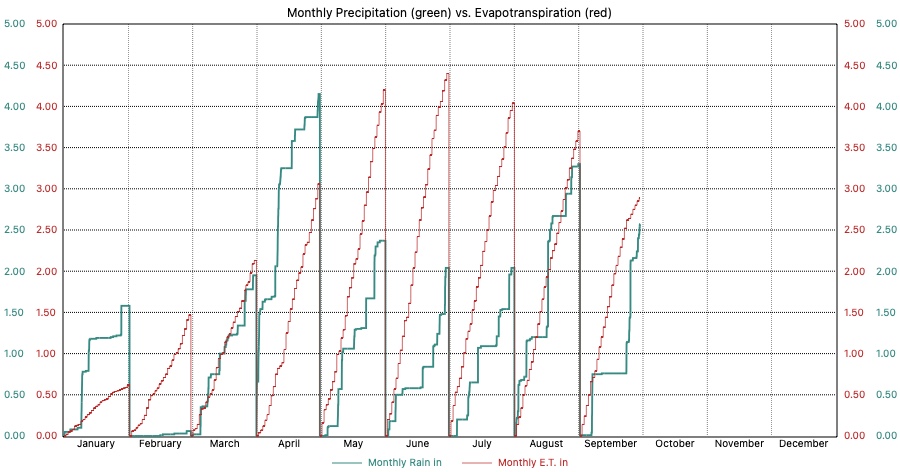 Custom Graph customgraph11.jpg