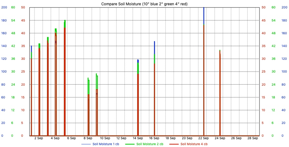 Custom Graph customgraph4.jpg